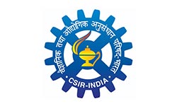 logo9.jpg